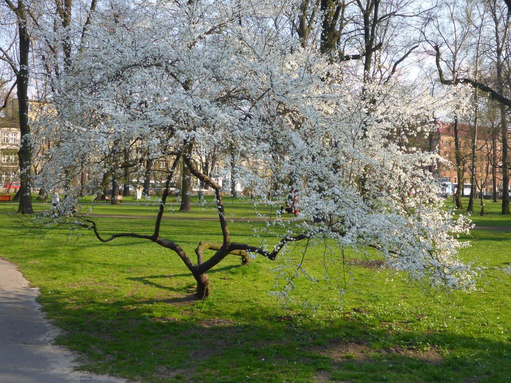 Garden Apartment Cracovia Exterior foto