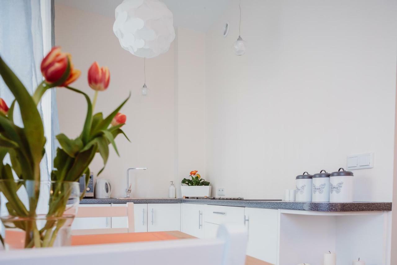 Garden Apartment Cracovia Exterior foto