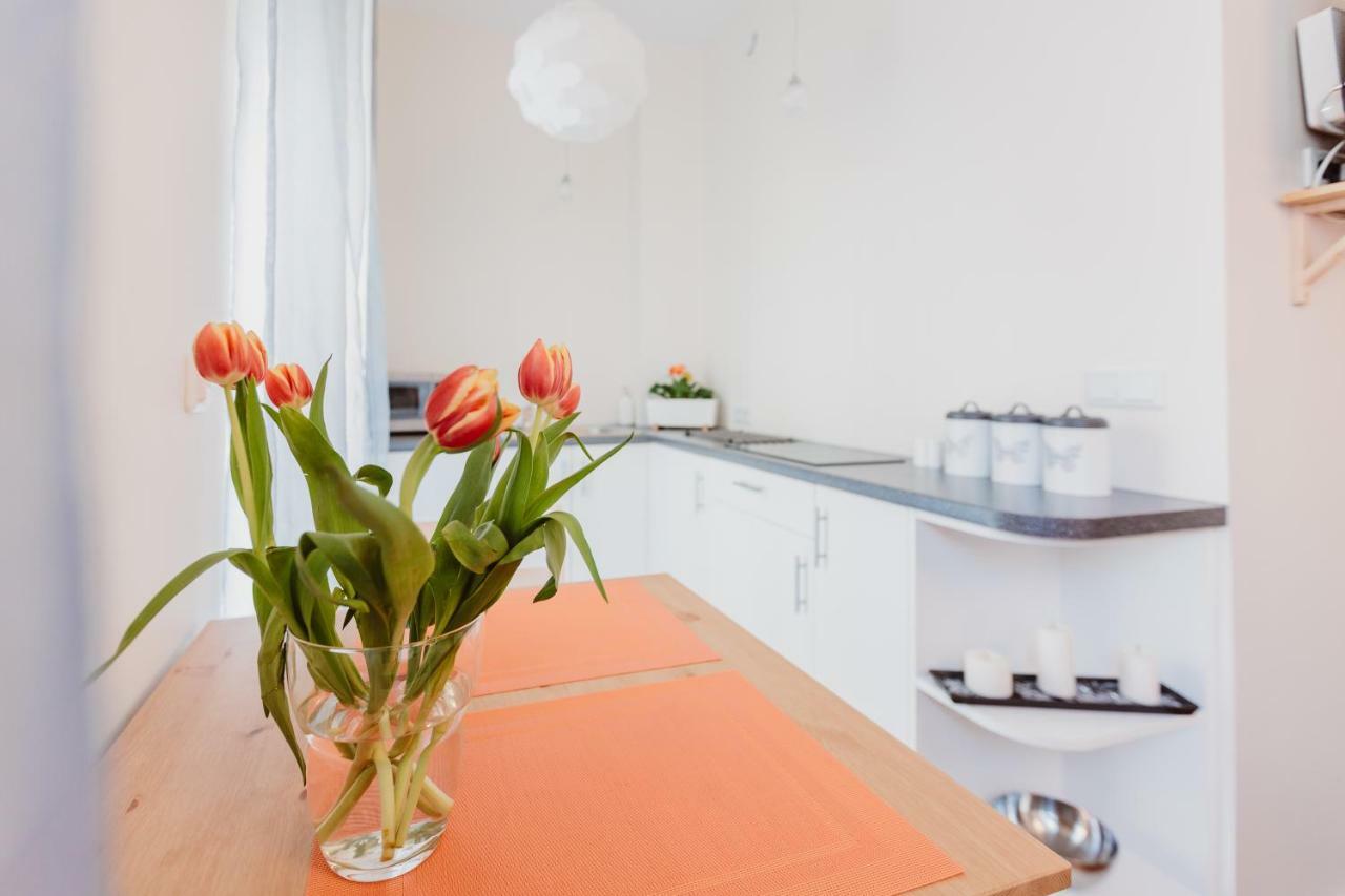 Garden Apartment Cracovia Exterior foto